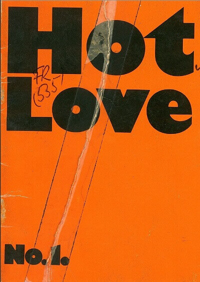 Hot Love Number 1 1977 year