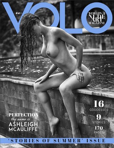 Volo Number 41 2016 year
