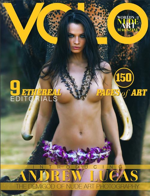 Volo Number 16 2014 year