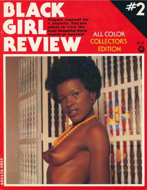 Black Girl Review Volume 1 Number 2 1981 year