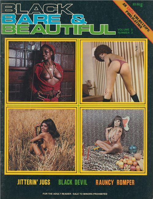 Black Bare & Beautiful Volume 3 Number 3 1973 year