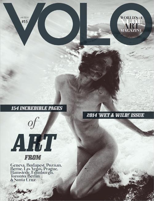 Volo Number 15 2014 year