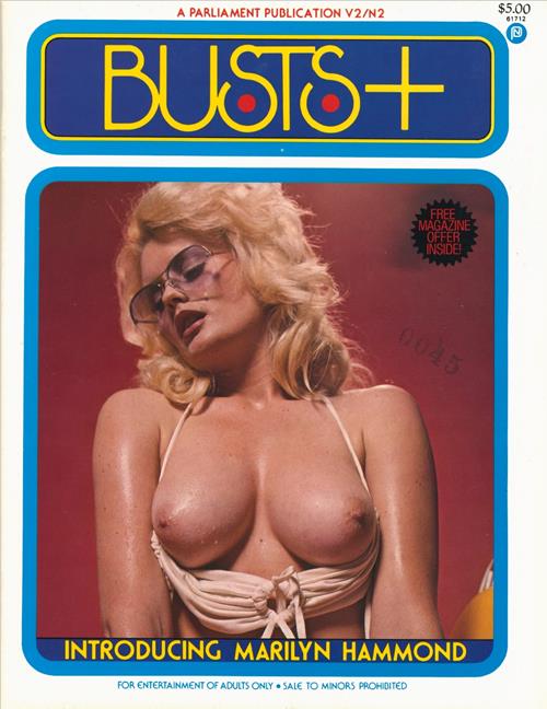 Busts+ Volume 2 Number 2 1979 year