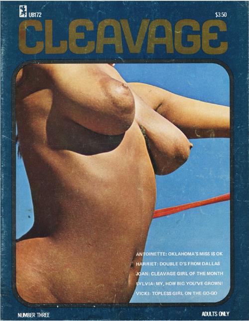 Cleavage Number 3 1973 year